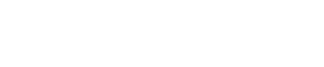 General Dynamics IT